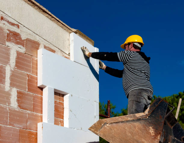 Best Insulation for New Construction  in Hokendauqua, PA