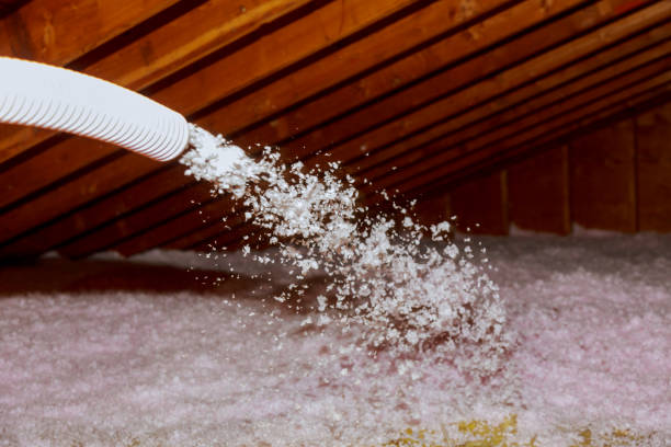 Best Professional Insulation Contractor  in Hokendauqua, PA