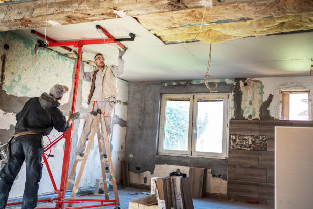 Best Insulation Removal  in Hokendauqua, PA