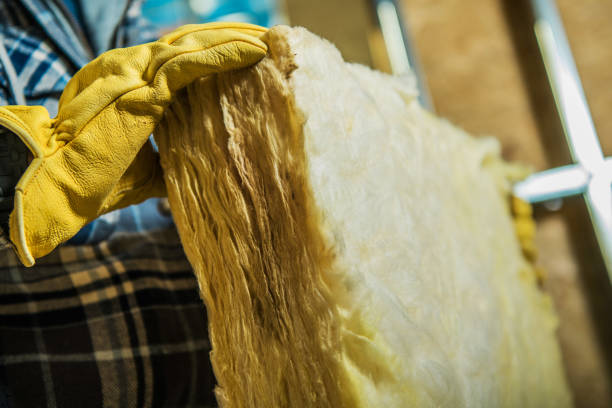 Best Cellulose Insulation  in Hokendauqua, PA