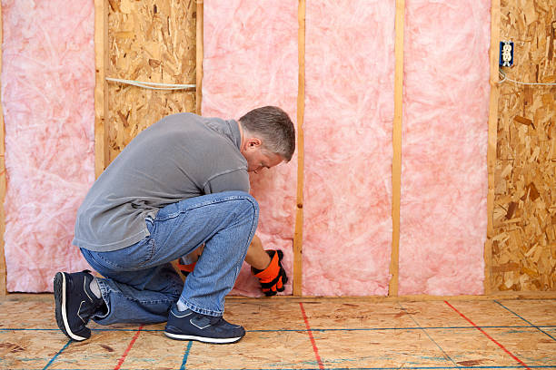 Best Home Insulation Services  in Hokendauqua, PA
