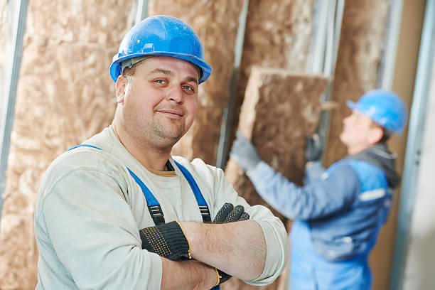 Best Affordable Insulation Services  in Hokendauqua, PA