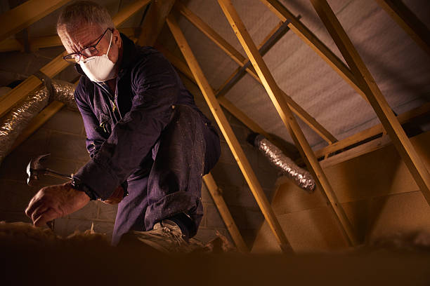 Best Best Insulation Companies  in Hokendauqua, PA